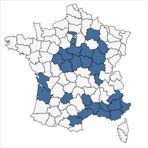 Répartition de Thymelaea passerina (L.) Coss. & Germ. subsp. passerina en France