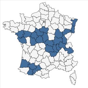 Répartition de Marsilea quadrifolia L. en France