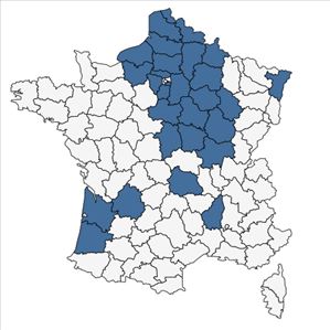 Répartition de Juncus tenuis Willd. subsp. tenuis en France