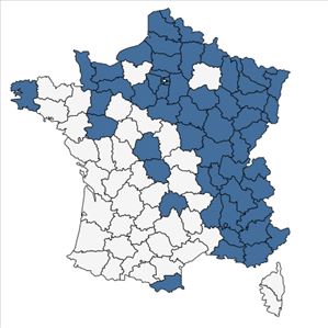 Répartition de Alnus incana (L.) Moench subsp. incana en France