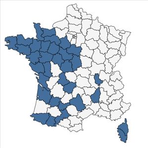 Répartition de Avena barbata Pott ex Link subsp. barbata en France