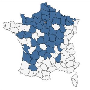 Répartition de Centaurea decipiens subsp. microptilon (Godr.) G.H.Loos en France