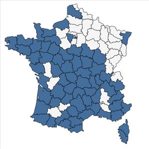 Répartition de Coincya monensis (L.) Greuter & Burdet en France