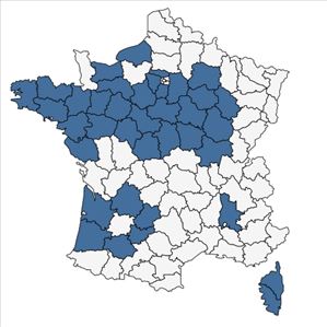 Répartition de Corrigiola littoralis L. subsp. littoralis en France