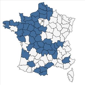 Répartition de Hesperis matronalis L. subsp. matronalis en France