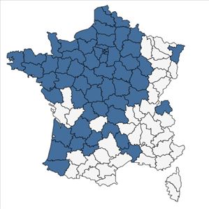 Répartition de Holcus mollis L. subsp. mollis en France