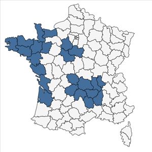 Répartition de Puccinellia distans (Jacq.) Parl. subsp. distans en France