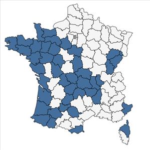 Répartition de Sagina procumbens L. subsp. procumbens en France