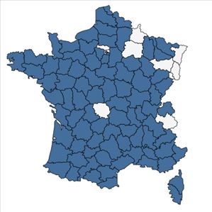Répartition de Medicago polymorpha L. en France