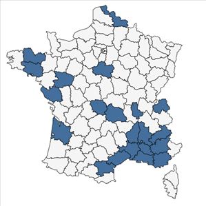 Répartition de Achillea filipendulina Lam. en France