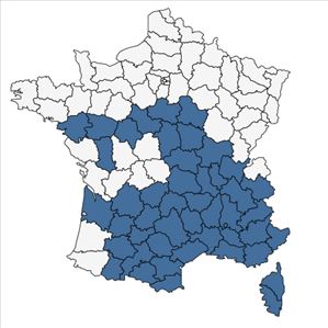 Répartition de Medicago rigidula (L.) All. en France