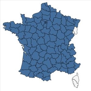Répartition de Medicago sativa L. en France