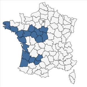 Répartition de Arenaria montana L. subsp. montana en France