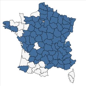 Répartition de Melampyrum arvense L. en France