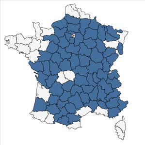 Répartition de Melampyrum cristatum L. en France