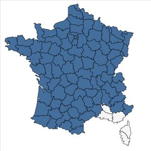 Répartition de Melampyrum pratense L. en France