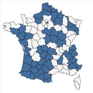 Répartition de Rhinanthus angustifolius subsp. angustifolius f. grandiflorus (Wallr.) B.Bock en France