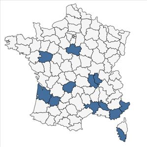 Répartition de Campsis radicans (L.) Bureau en France