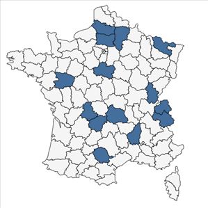 Répartition de Rudbeckia hirta L. en France