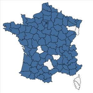 Répartition de Trigonella altissima (Thuill.) Coulot & Rabaute en France