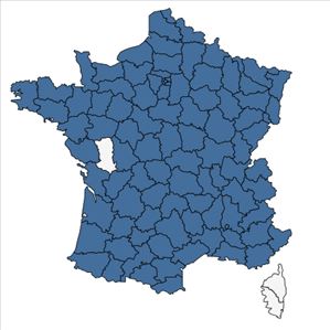 Répartition de Trigonella officinalis (L.) Coulot & Rabaute en France