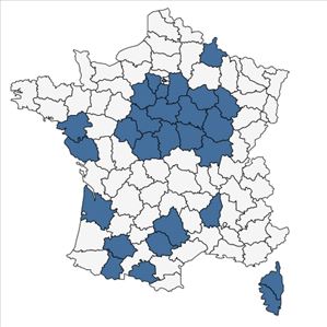 Répartition de Trifolium nigrescens Viv. subsp. nigrescens en France