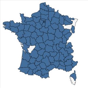 Répartition de Melissa officinalis L. en France