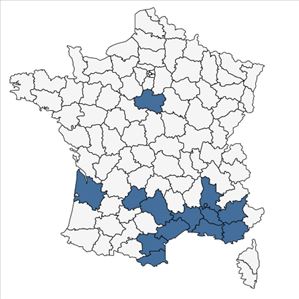 Répartition de Mentha cervina L. en France