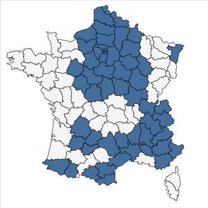 Répartition de Campanula rotundifolia L. subsp. rotundifolia en France