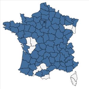 Répartition de Mentha spicata L. en France