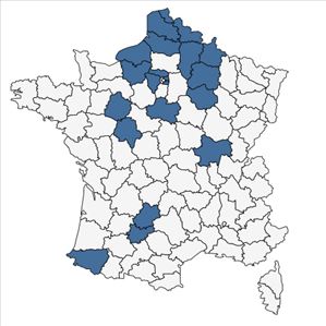 Répartition de Diplotaxis muralis (L.) DC. subsp. muralis en France