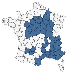 Répartition de Buglossoides arvensis (L.) I.M.Johnst. subsp. arvensis en France