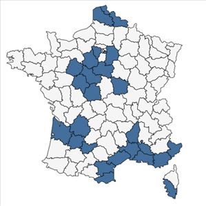 Répartition de Ludwigia peploides subsp. montevidensis (Spreng.) P.H.Raven en France