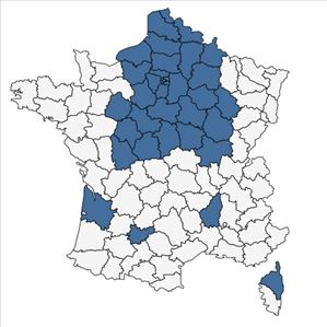 Répartition de Papaver argemone L. subsp. argemone en France