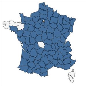 Répartition de Noccaea perfoliata (L.) Al-Shehbaz en France