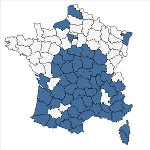 Répartition de Coincya monensis subsp. montana (DC.) B.Bock en France