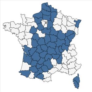 Répartition de Myosotis arvensis (L.) Hill var. arvensis en France