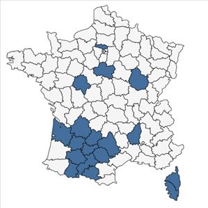 Répartition de Rhamnus alaternus L. subsp. alaternus en France