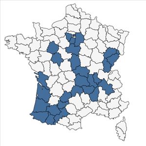 Répartition de Rumex crispus L. var. crispus en France