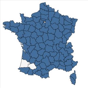 Répartition de Monotropa hypopitys L. en France