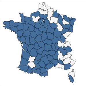 Répartition de Montia fontana L. en France