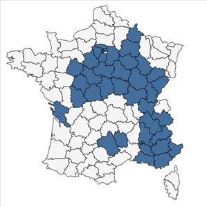 Répartition de Medicago sativa n-subsp. media (Pers.) Schübler & G.Martens en France