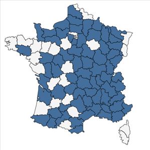 Répartition de Myosotis stricta Link ex Roem. & Schult. en France