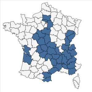 Répartition de Salix alba L. var. alba en France