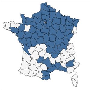 Répartition de Myosurus minimus L. en France