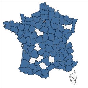 Répartition de Myriophyllum verticillatum L. en France