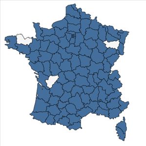 Répartition de Anisantha tectorum (L.) Nevski en France