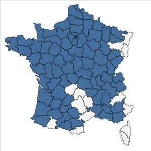 Répartition de Najas marina L. en France