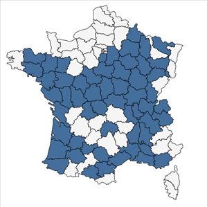 Répartition de Najas minor All. en France