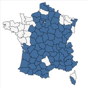 Répartition de Hieracium virgultorum Jord. en France